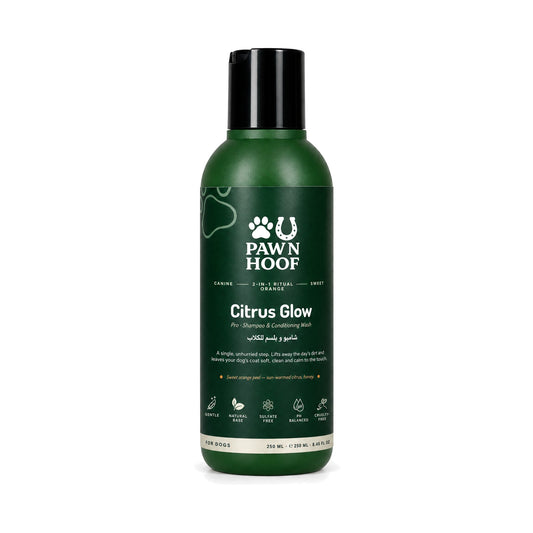 Citrus Glow 2-in-1 shampoo and conditioner for dogs, 250 ml sweet orange bottle with a black cap, front view on a white background
