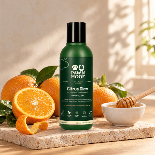 Citrus Glow shampoo 250 ml on a travertine slab beside sweet oranges, a cut orange, a curl of peel and a small dish of honey in morning sun