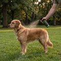A dog's coat being lightly refreshed with Park Wood cedarwood mist on grass in a park, a hand holding the 250 ml bottle a short distance from the fur