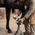 A groom applying Paw N Hoof Hoof Guard balm directly from the twist-up tube onto a horse's cleaned hoof wall, the hoof steadied on a hoof stand in a stable yard.